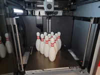 x10 bowling pins: 0.2mm layer, 2 walls, 15% infill