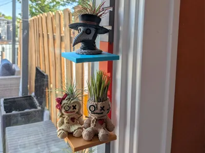 display system for small plants and figurines 