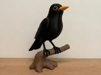 Blackbird on Branch
