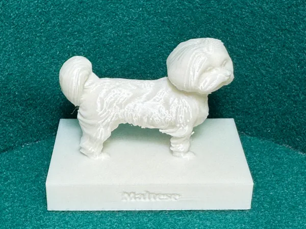 https://makerworld.bblmw.com/makerworld/model/USb48bb07369a8/design/2025-11-30_937e401d675db.jpeg