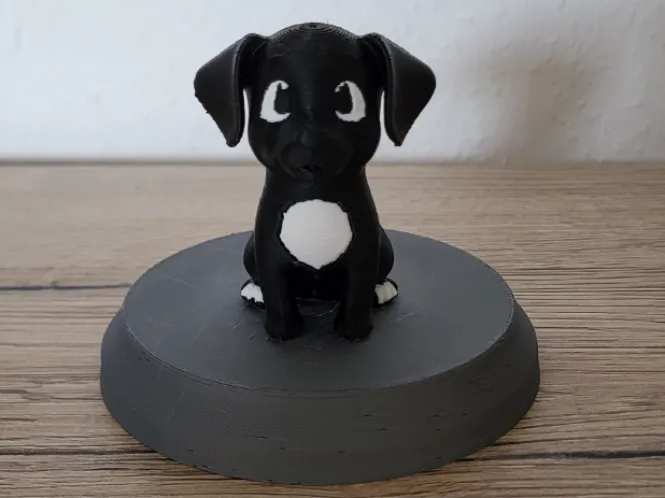 Labrador Welpe Akira