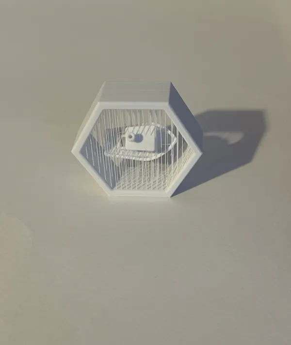 https://makerworld.bblmw.com/makerworld/model/USb48e054c2e13af/design/2024-01-07_4f7bdddef09868.jpeg