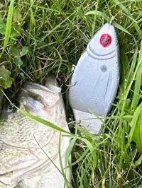Leurre de pêche HyperShad (swimbait/glidebait) — photo 2