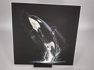 Hueforge Orque / Hueforge Killer Whale
