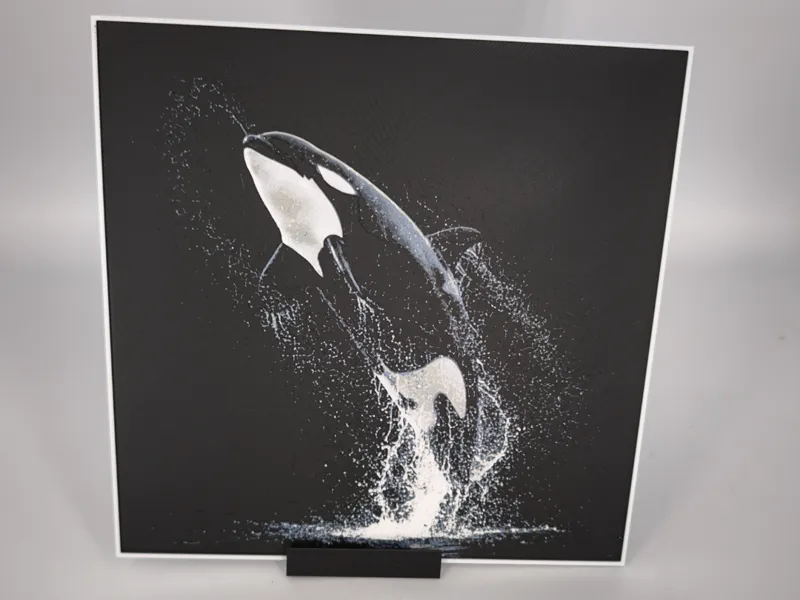 Hueforge Orque / Hueforge Killer Whale