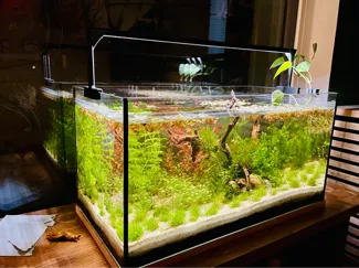 Elegant Adjustable LED Aquarium Light