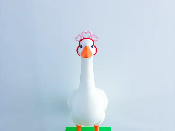https://makerworld.bblmw.com/makerworld/model/USb49abc0c3b5b25/design/172d9f2e2d1fd27e.jpg