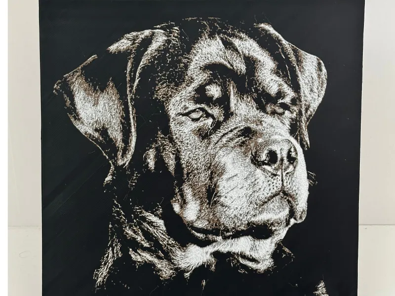 Rottweiler Lienzo  Croma Hembra