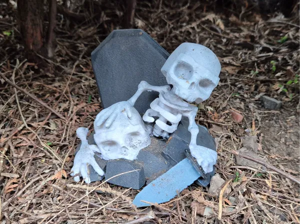 https://makerworld.bblmw.com/makerworld/model/USb4a0546da9d8ef/design/2025-10-07_d468e80ef7cad.jpg