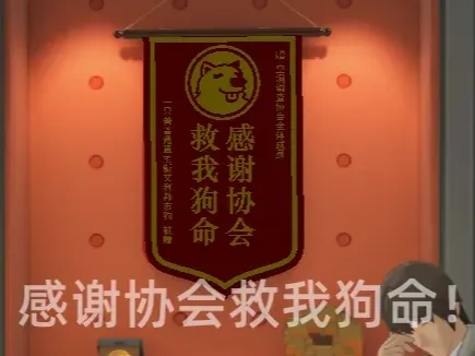感谢协会救我狗命——锦旗