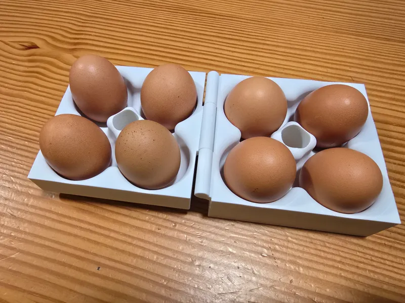 Egg Holder