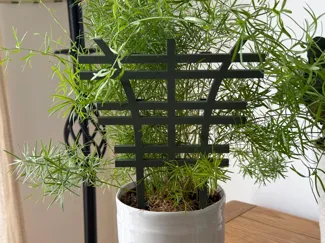 Stackable Trellis Climbing Plants & Tiny Fences