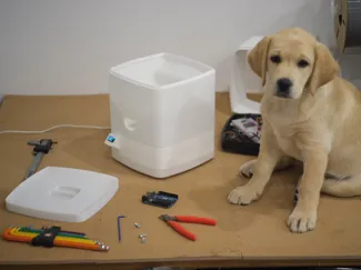 LabLab Pet feeder for small to HUGE pets!