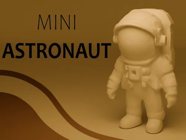https://makerworld.bblmw.com/makerworld/model/USb4aae6fe0d82dc/design/2024-11-02_35c204fcb18cc.png