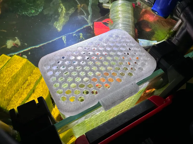 Aquarium isolation quarantine breeding box