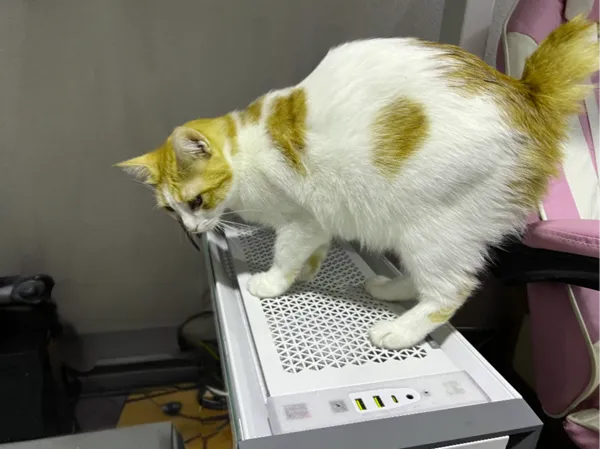 https://makerworld.bblmw.com/makerworld/model/USb4afe3e37d2300/design/2025-01-21_5a2b5bf7173f5.png