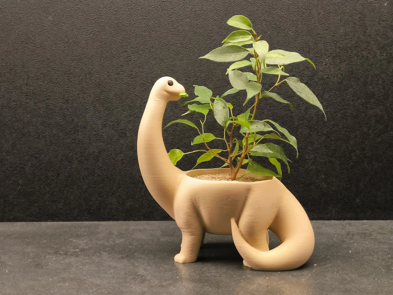Plantosaurus - Dino Planter view 2
