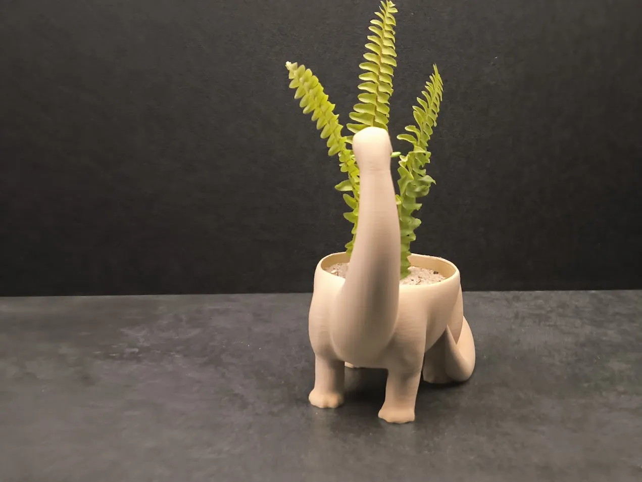 Plantosaurus - Dino Planter view 4