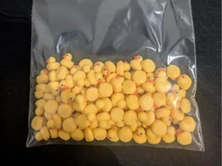 Mini duck army