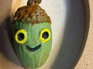 silly acorn