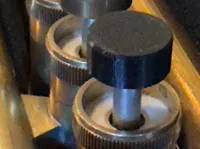 Taylor Finger Button