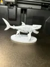 Megalodon Skeleton Big Size