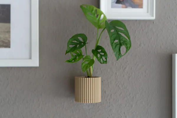 https://makerworld.bblmw.com/makerworld/model/USb4c7df4611bfd/design/2024-04-17_ba8edd55f7eab.jpg