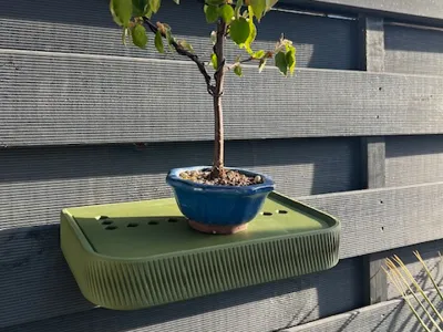 Bonsai Pedestal Water Tank & Fixing