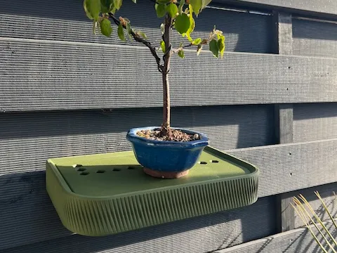 Bonsai-Podest  Wassertank & Fixierung
