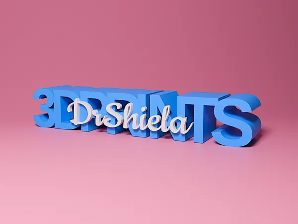 https://makerworld.bblmw.com/makerworld/model/USb4cc5d64a5ef4c/design/2025-12-01_ed22035eeac2e.png