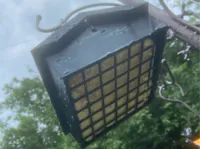 Upside Down Suet Feeder