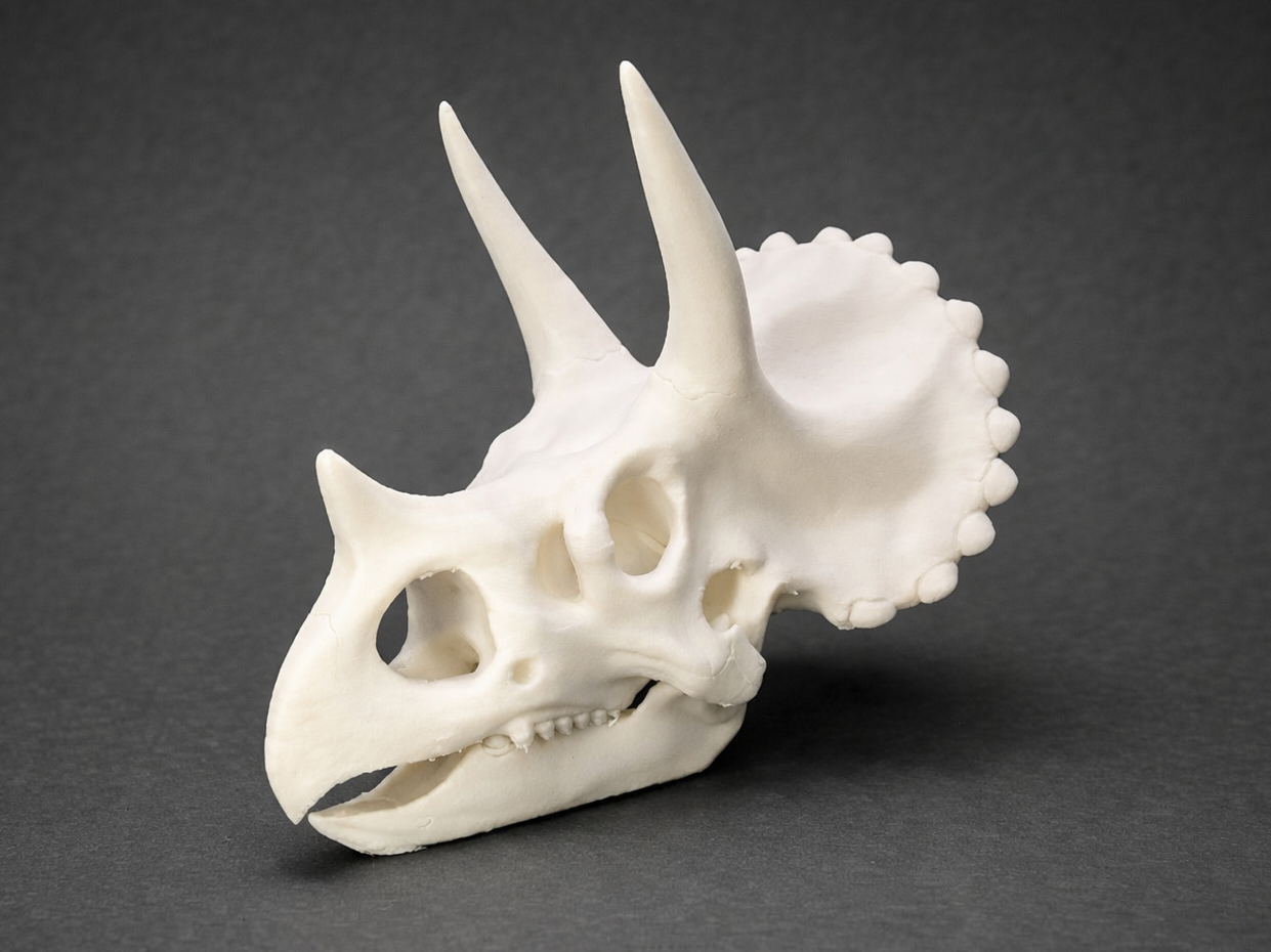 Triceratops Schädel – dekorative Dino Skull Figur