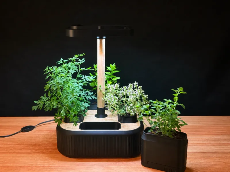 Luma Leaf - Planter & Grow Light