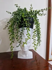 Vase buste de Néfertiti — photo 3