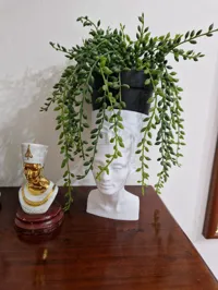 Vase buste de Néfertiti — photo 1