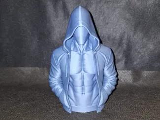 Faceless Hoodie Bust - Book Nook Figure