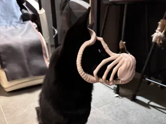 Alien  dog mask Halloween Cosplay