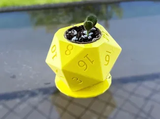 D20 Holder