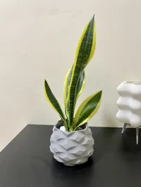 0.24mm layer, 2 walls, 15% infill