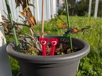 Eye-Catcher Serie: Heartie (Edition Herz)