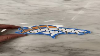 Bronco logo