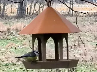 Vogelfutterhäuschen