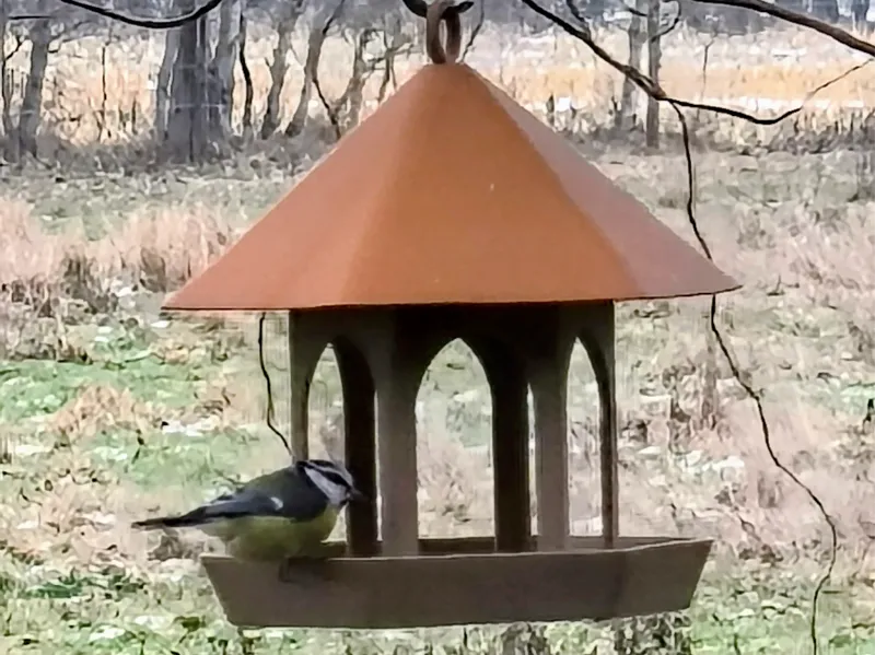 Vogelfutterhäuschen