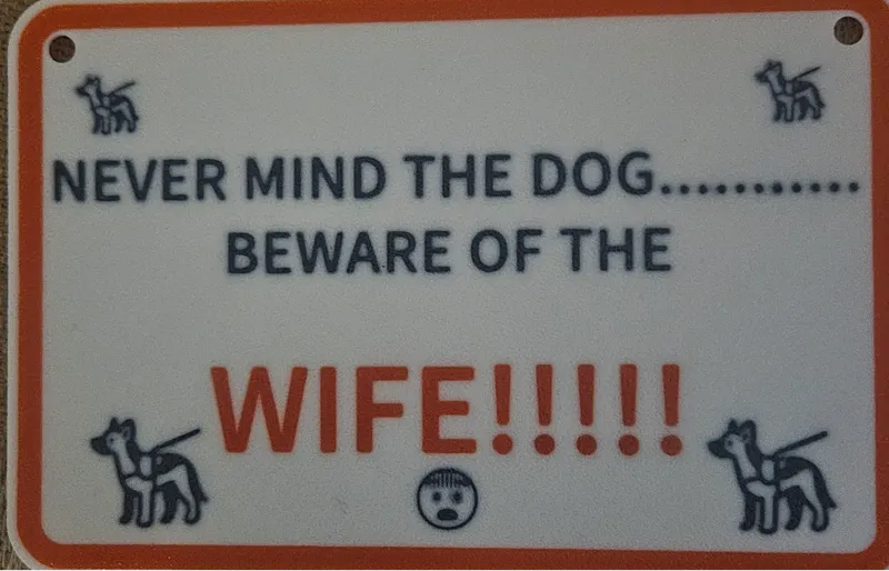 Never Mind the Dog