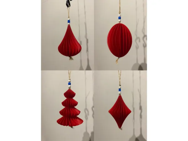 https://makerworld.bblmw.com/makerworld/model/USb4f89f94f0027a/design/2025-11-30_acbb91f4806a1.png