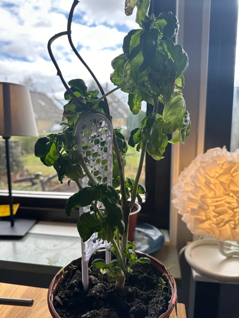 Airless plant trellis