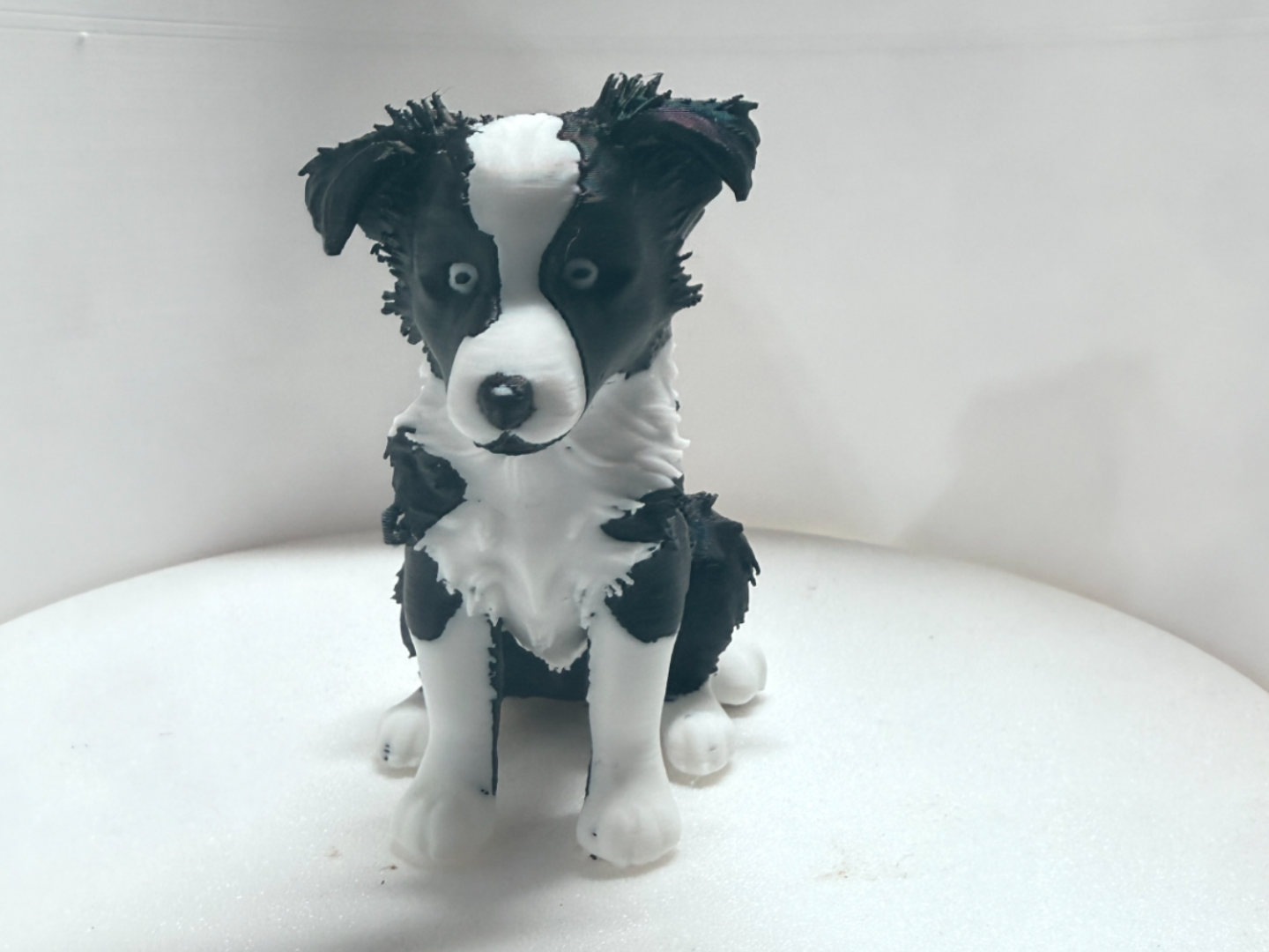 Collie Dog Model – Detailed 3D Print