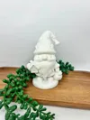 gnome