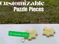 TEST Puzzle