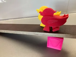 Walking Ramp Duck